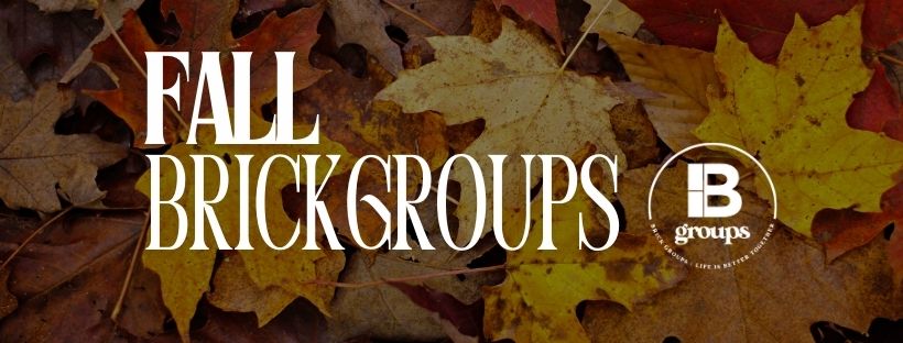 Fall Brick Groups